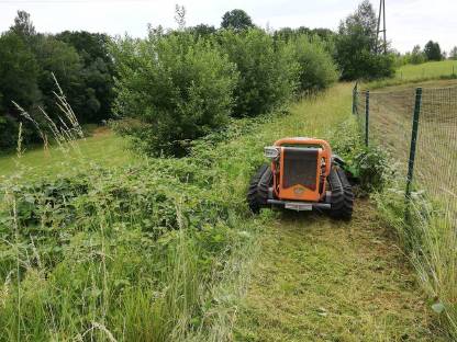 Bild 2:Mäharbeiten in schwierigem Gelände - Strauchentfernung