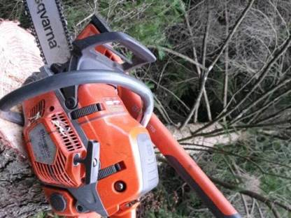 Bild 3:Holzschlägerung