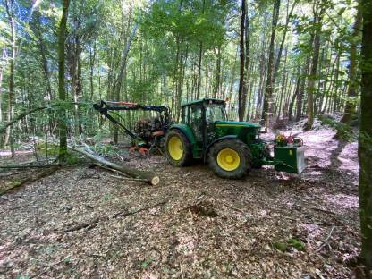 Bild 3:Biete holzbringung