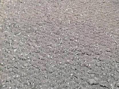 Bild 4:Umkehrfräsarbeiten auf Acker und steinigen Böden aller Art