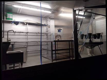 Bild 2:Mobile Geflügelschlachteinheit, Geflügelschlachtung