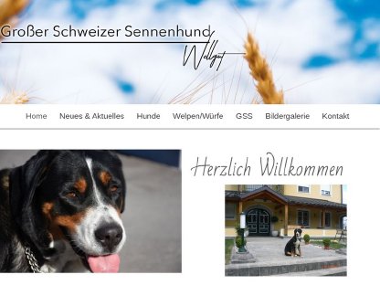 Bild 8:Großer Schweizer Sennenhund Wellgut