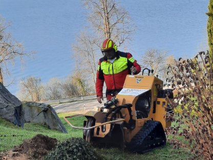 Bild 6:Baumstumpffräsen Mulch- und Mäharbeiten