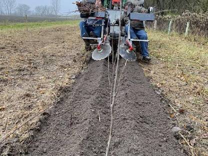Bild 2:Aufforstung / Bäume pflanzen