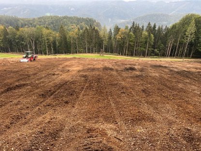 Bild 5:Flächenrekultivierung