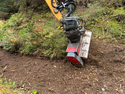 Bild 6:Böschungspflege