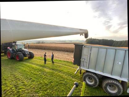 Bild 3:Maisdreschen, Trocknung und Transport