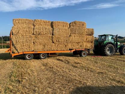 Bild 2:Lohnmähen, Aushilfe Traktorfahrer Maisernte usw.