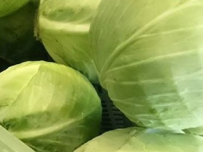 Bild 4:Rotkraut & Weisskraut