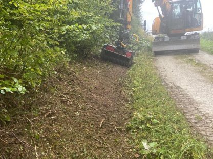 Bild 5:Böschungspflege