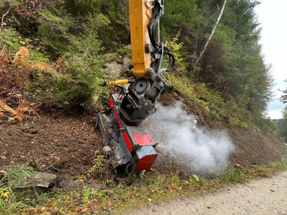 Bild 4:Böschungspflege