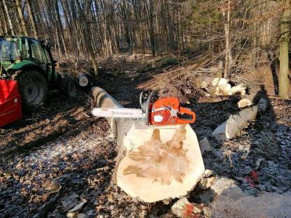 Bild 2:Schlägerungsarbeiten