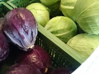 Bild 5:Rotkraut & Weisskraut