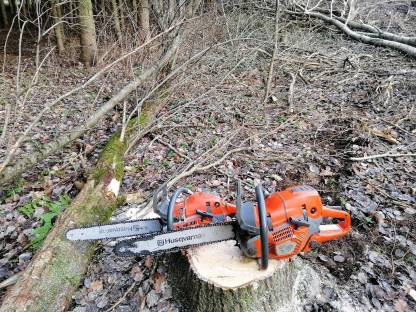 Bild 4:Schlägerungsarbeiten