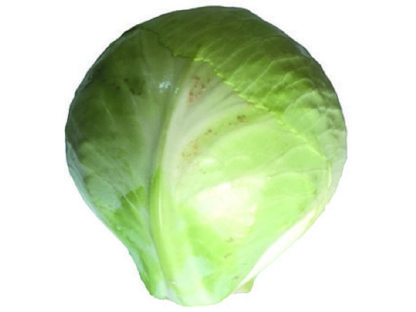 Bild 2:Rotkraut & Weisskraut