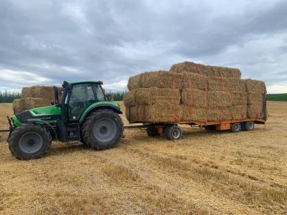 Bild 3:Lohnmähen, Aushilfe Traktorfahrer Maisernte usw.