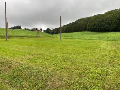 Bild 3:Mulcharbeiten, Hochgrasmähen