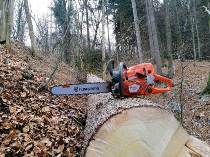 Bild 3:Schlägerungsarbeiten