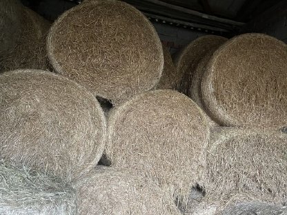 Heu: Heu Und Strohrundballen Kaufen - Landwirt.com