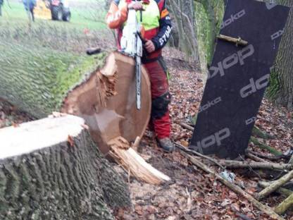 Bild 3:Holzschlägerung Langholzspalten