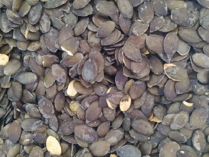 Bild 2:Kürbiskerne zu verkaufen