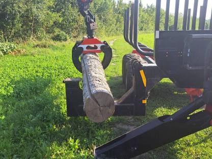 Bild 5:Holzschlägerung Langholzspalten