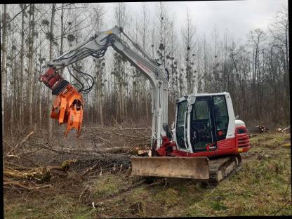 Bild 2:Energieholzernte