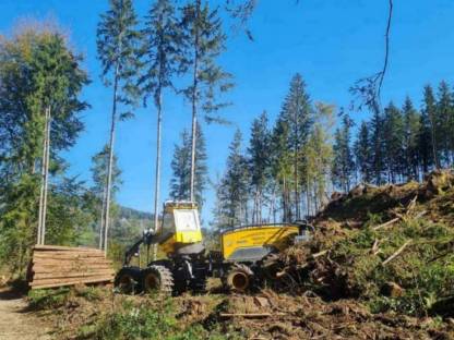 Holzernte, Holzhandel, Waldbetreuung (K,STMK)