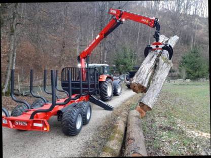Bild 2:Holzschlägerung Langholzspalten