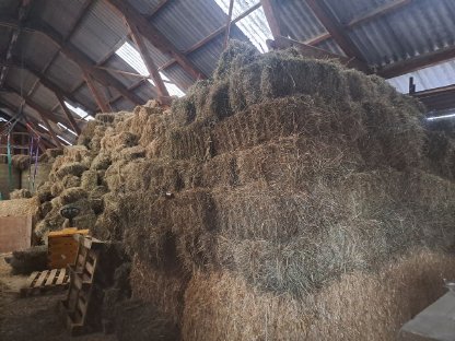 Bild 2:Heu aus dem Schneebergland