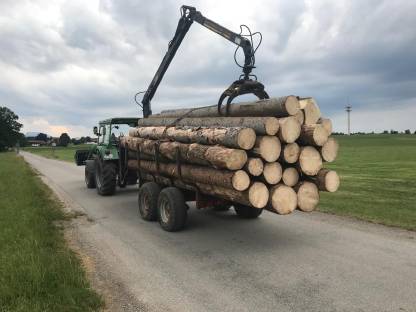 Bild 3:Rückewagenarbeiten/Holztransport per Rückewagen