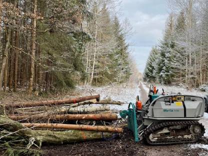 Bild 5:FORSTARBEITEN