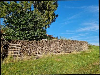 Brennholz