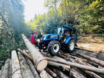 Bild 2:Holzfällung / Winterdienst