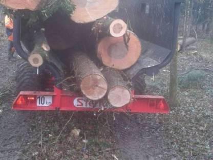 Bild 4:Holzschlägerung Langholzspalten