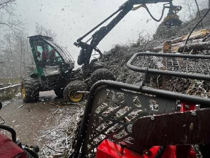 Bild 4:FORSTARBEITEN