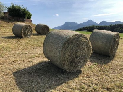 Pferdeheu Rundballen Erstschnitt August 2025