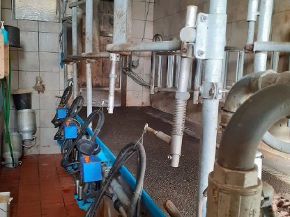 Delaval Melkstand