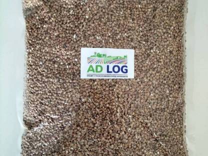 Bild 8:Walnüsse '24, Haselnüsse, Bohnen, Grütze, Mariendistel aus PL