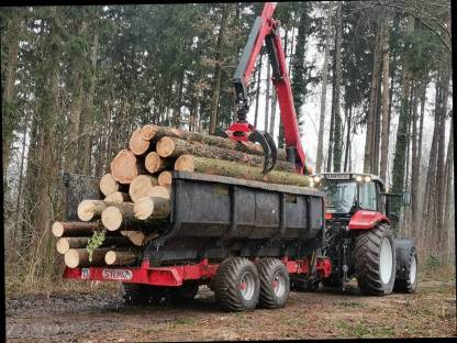 Holzschlägerung Langholzspalten
