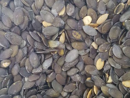 Bild 3:Kürbiskerne zu verkaufen