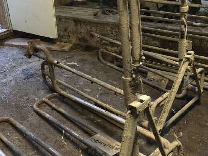 Bild 2:Schauer Compident Cow