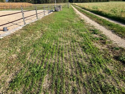 Bild 4:Vredo Nachsaatgerät zu vermieten