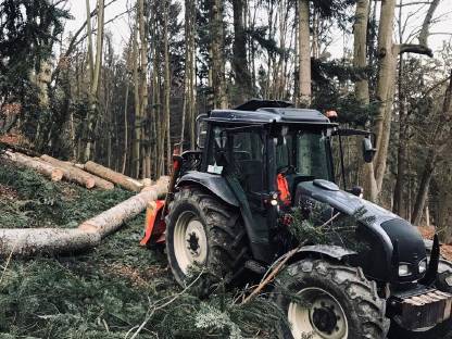 Bild 4:Biete Forstarbeiten