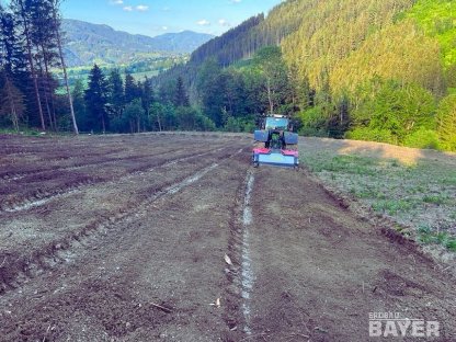 Bild 2:Rekultivierung