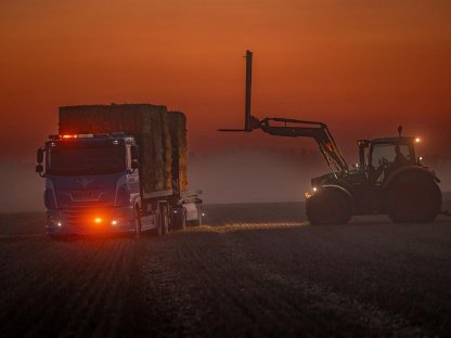 Bild 4:Stroh in Quaderballen