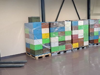 Bild 5:Honig aus Kroatien, größere Menge