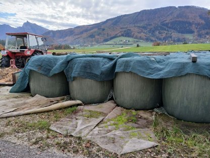 Siloballen BIO zu verkaufen