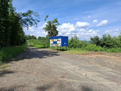 Bild 7:Honig aus Kroatien, größere Menge