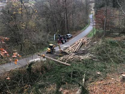 Bild 2:Biete Forstarbeiten